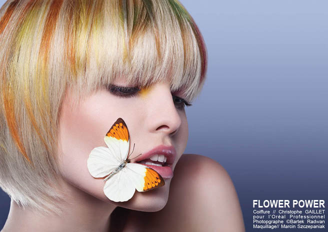 Collection Anamorphose - Christophe GAILLET- FLOWER POWER