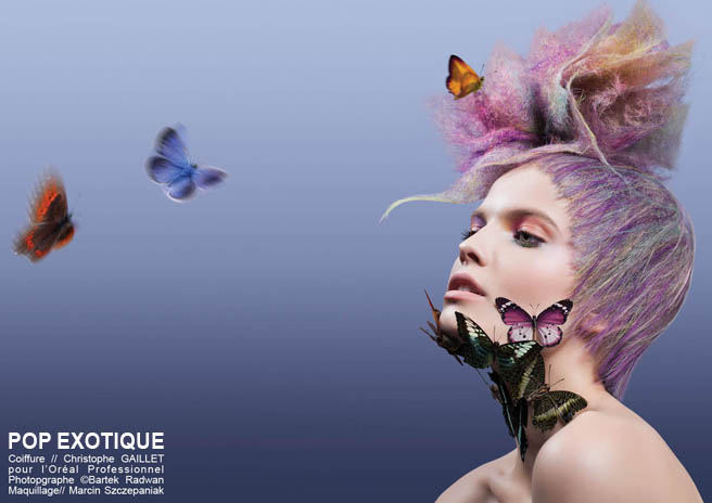 Collection Anamorphose - Christophe GAILLET- POP EXOTIQUE