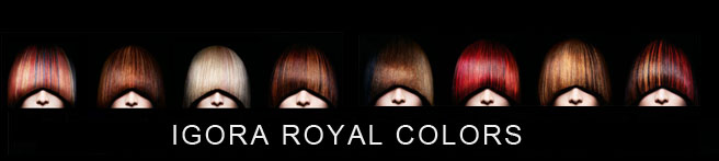 IGORA ROYAL colors