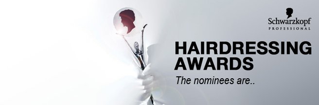 The nominees for the Hairdressing Awards 2013